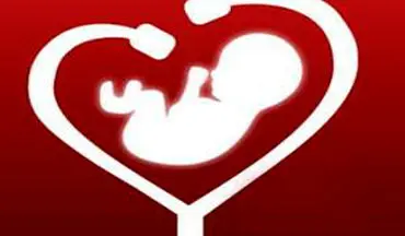 تشخیص ناهنجاری‌های قلب جنین چه زمانی ممکن است؟ + فیلم
