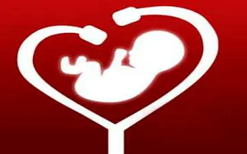 تشخیص ناهنجاری‌های قلب جنین چه زمانی ممکن است؟ + فیلم