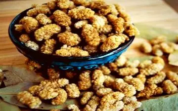 از فواید توت خشک چه می‌دانید؟