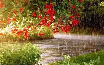 تداوم بارش ها با ورود سامانه جدید از شنبه