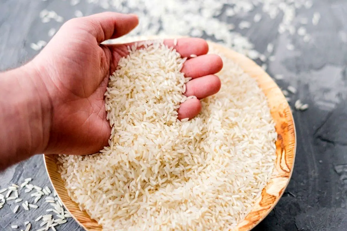 کشت برنج در یک استان ایران ممنوع شد