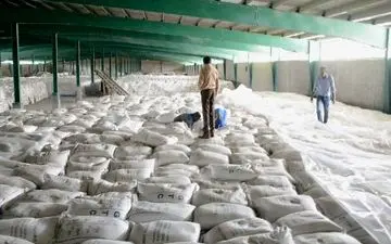 واردات برنج ممنوع شد