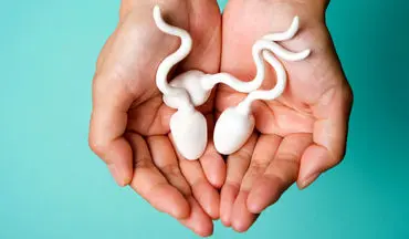 اسپرم چه مدت در واژن دوام خواهد آورد؟