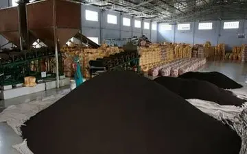 آغاز واردات چای سیاه با شماره تعرفه جدید 