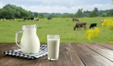 قد بلند شدن جنین و فرزندتان با تغذیه مخصوص بارداری