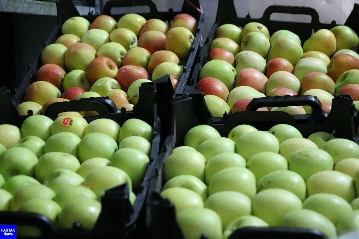 توزیع بیش از ۴۳۰۰ بسته میوه و بطری آب سیب بین بیماران کرونایی و کادر درمان کرمانشاه