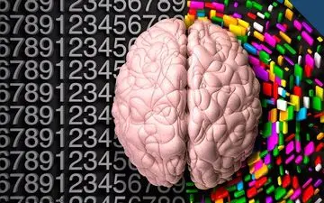  ترفند‌هایی برای فعال کردن هر ۲ نیمکره مغز