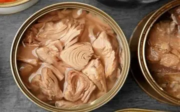 قیمت تن ماهی کاهش یافت