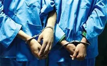 دوقلوهای سارق دستگیر شدند