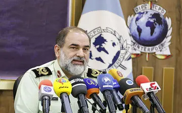 پلیس بین الملل متهم متواری را به کشور بازگرداند