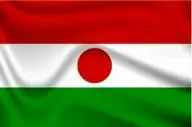 کشته و زخمی شدن ۴۸ نظامی در حمله به غرب نیجر