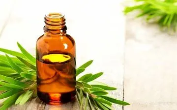 بهترین روغن ماساژ نوزادتان در تابستان و زمستان