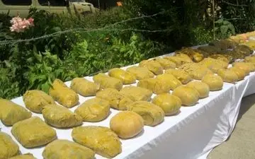 فروشنده محموله مرگبار در تنکابن زمین گیر شد