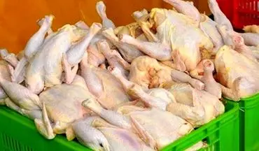 قیمت مرغ در میادین تره بار ۸۱۷۵ تومان