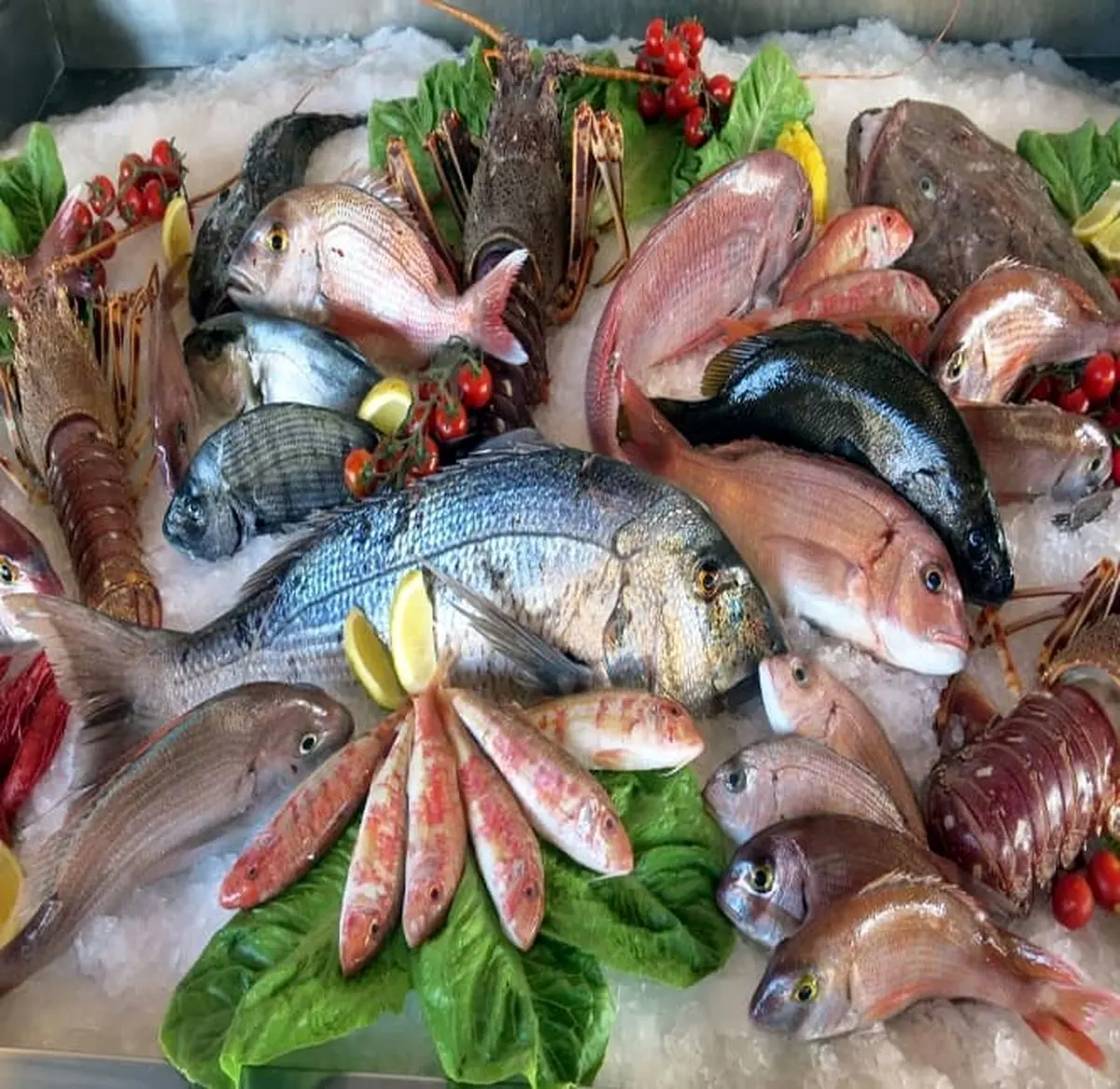 ماهی در بازار امروز کیلویی چند شد؟ + جدول 