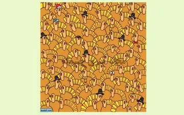 اگر فکر میکنی تیزبینی، 5 ثانیه فرصت داری کدوتنبل رو در بین بوقلمون ها پیدا کنی!