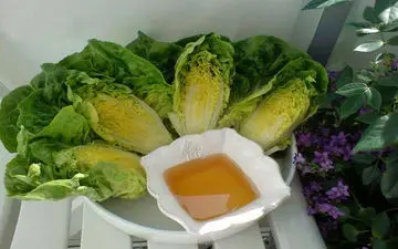 بایدها و نبایدهای مصرف فواید کاهو و سکنجبین