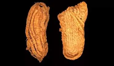 کشف صندل ۶ هزار ساله در پای یک مومیایی+عکس
