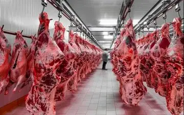 قیمت گوشت قرمز امروز ۱۹ شهریور؛ نرخ انواع گوشت + جدول
