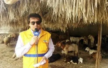 محموله تخم مرغ در دشتی توقیف شد/اما به چه دلیل؟