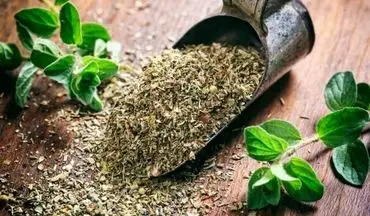 مصرف گیاه آویشن به عنوان یک ماده ضد باکتری!