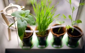 ترفندی ساده برای آبیاری گلدان‌ ها در سفر عید | فیلم