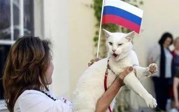 گربه سفید ناشنوا، پیشگوی جدید جام جهانی فوتبال 2018 