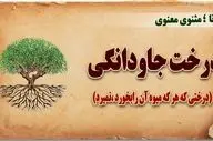 حکایت جالب و آموزنده درخت بی مرگ و پادشاهی که عمر جاودانه می‌خواست