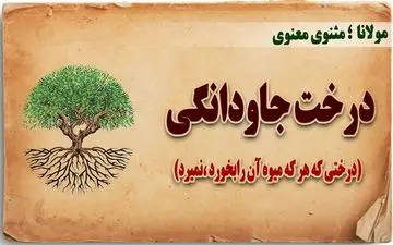 حکایت جالب و آموزنده درخت بی مرگ و پادشاهی که عمر جاودانه می‌خواست