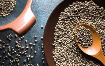 از فواید شاهدانه باخبر شوید متعجب می شوید!

