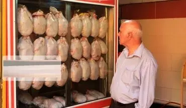 توزیع مرغ با نرخ ۱۵ هزار تومان از فردا در تهران
