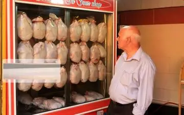 توزیع مرغ با نرخ ۱۵ هزار تومان از فردا در تهران
