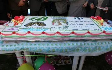 جشن تولد کهنسال‌ترین درخت شهر کرمانشاه به روایت تصویر