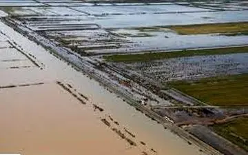 پاسخ به سیل شایعات/ در هور العظیم چه خبر است؟ + فیلم 