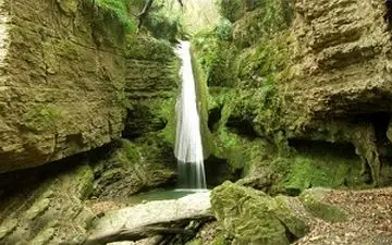 آبشار زیبای "سنگ نو" در دل جنگل‌ + فیلم 