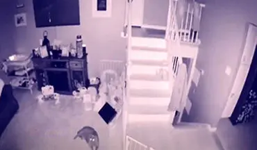 بازبینی دوربین مداربسته یک خانه، مالک آن و همسرش را شوکه کرد