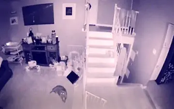 بازبینی دوربین مداربسته یک خانه، مالک آن و همسرش را شوکه کرد