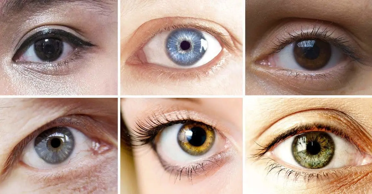  درباره انواع رنگ چشم و ارتباط آن با شخصیت افراد چه می‌دانید؟ 