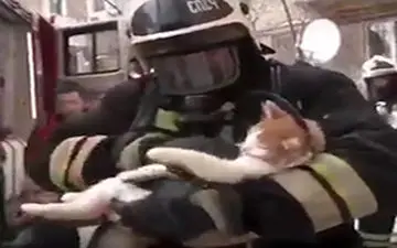 نجات یک گربه توسط آتش نشانان با تنفس مصنوعی + فیلم 