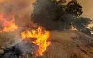 آتش سوزی در مراتع «چهار گنبد» سیرجان
