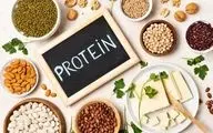 روزانه چه میزان پروتئین نیاز داریم؟ / بهترین زمان مصرف پروتئین