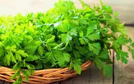 با خواص شگفت انگیز و درمانی جعفری بیشترآشنا شوید!