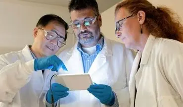 چرا BMI همیشه دقیق نیست؟ روش جدیدی که خطر مرگ و میر را پیش‌بینی می‌کند