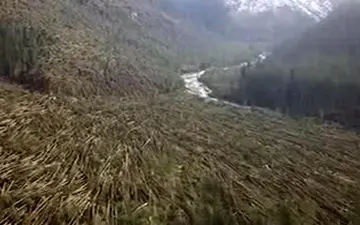 طوفان در ایتالیا میلیون‌ها درخت را از ریشه درآورد + فیلم 