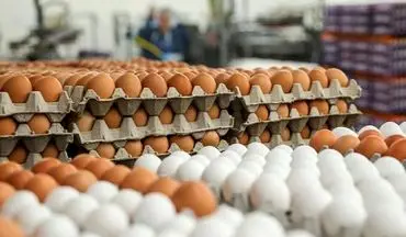 
تخم مرغ 3600 تومان می شود؟