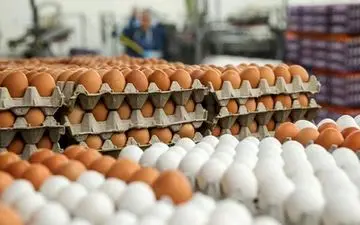 
تخم مرغ 3600 تومان می شود؟