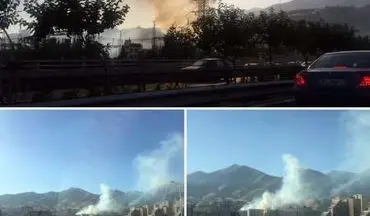 آتش سوزی گسترده در فضای سبز خیابان دشت بهشت تهران