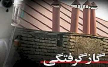 گازگرفتگی مرگبار 181 نفر در 11 ماه سال 95 