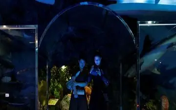 دایناسورها به کره شمالی رسیدند+ تصاویر