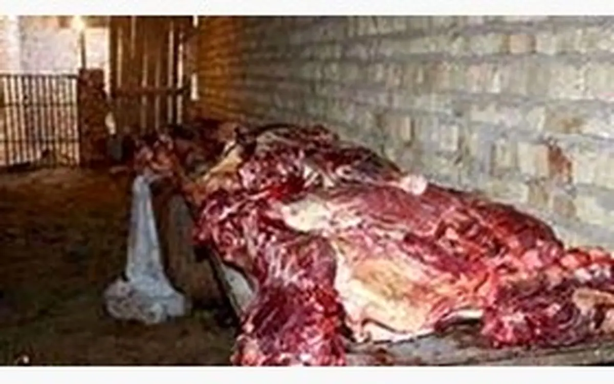 کشف 500 کیلو گوشت الاغ در الیگودرز